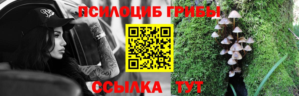 Псилоцибиновые грибы ЛСД Донецк