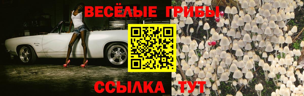 Донецк  Галлюциногенные грибы Psilocybe  Вход с VPN  Псилоцибиновые грибы ЛСД 